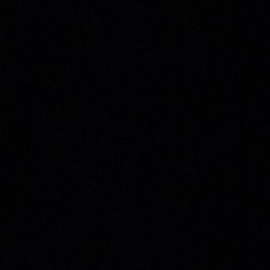 Meet your Posher, Maddie